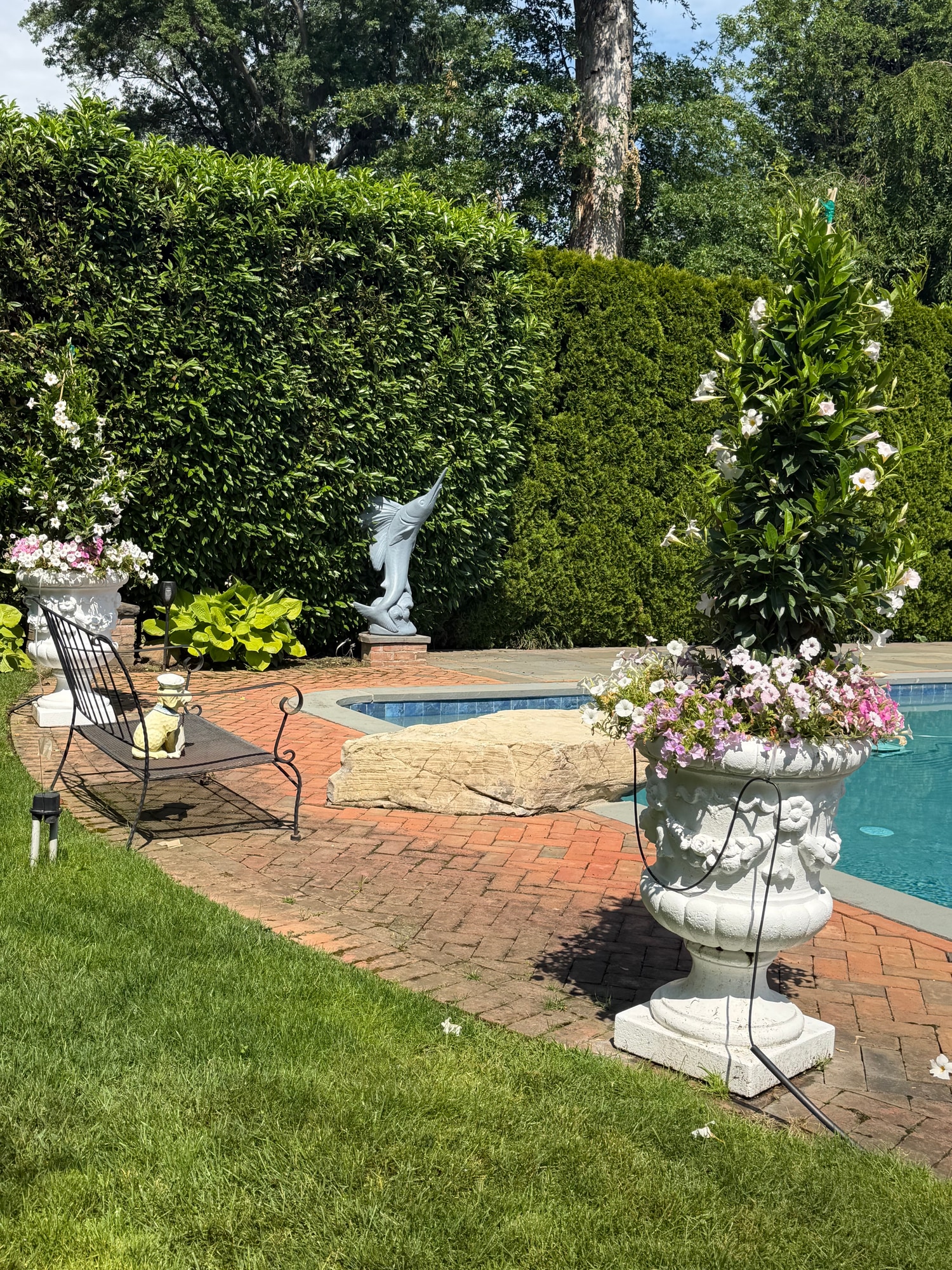 Poolside garden with flowering planters